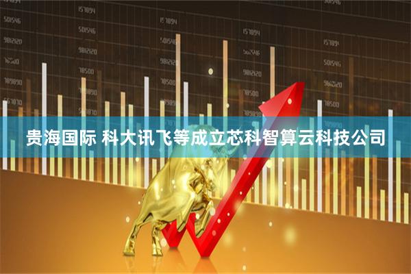 贵海国际 科大讯飞等成立芯科智算云科技公司