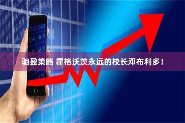 驰盈策略 霍格沃茨永远的校长邓布利多！