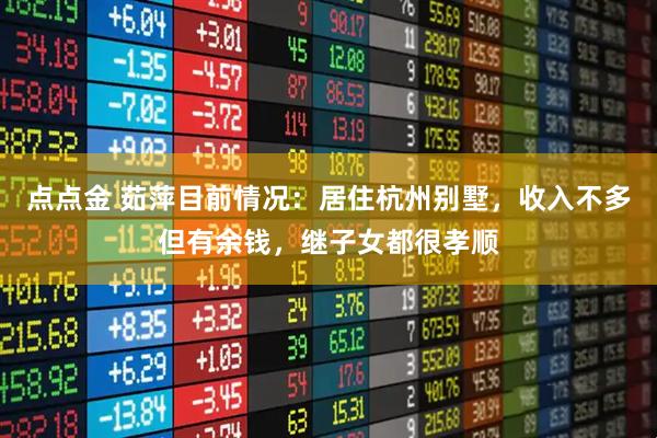 点点金 茹萍目前情况：居住杭州别墅，收入不多但有余钱，继子女都很孝顺